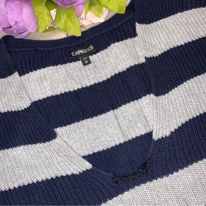 Express Navy Blue and Grey Striped Sweater